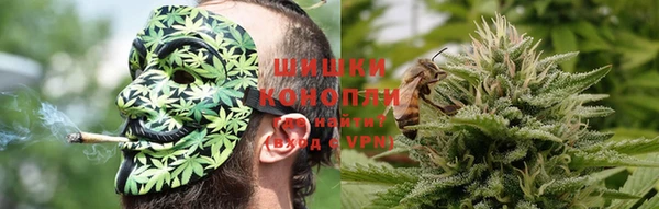 дмт Арсеньев