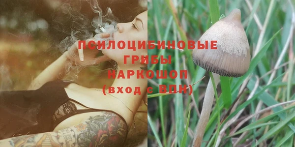 дмт Арсеньев