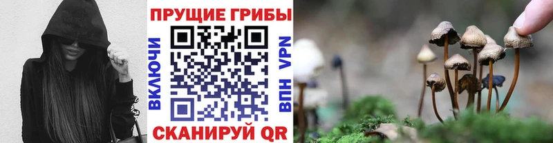 мега рабочий сайт  Белебей  Галлюциногенные грибы Psilocybine cubensis 